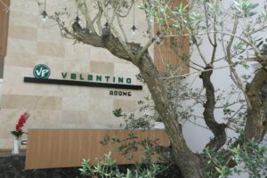 Valentino Resorts (21)